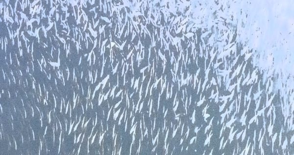 Herring Scrap 27: Deriving a Threshold from Unfished Biomass